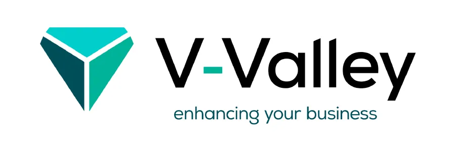 Logo di V-Valley con un design moderno e professionale.